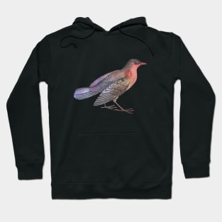 Cute vintage bird print with warm watercolour effect Hoodie